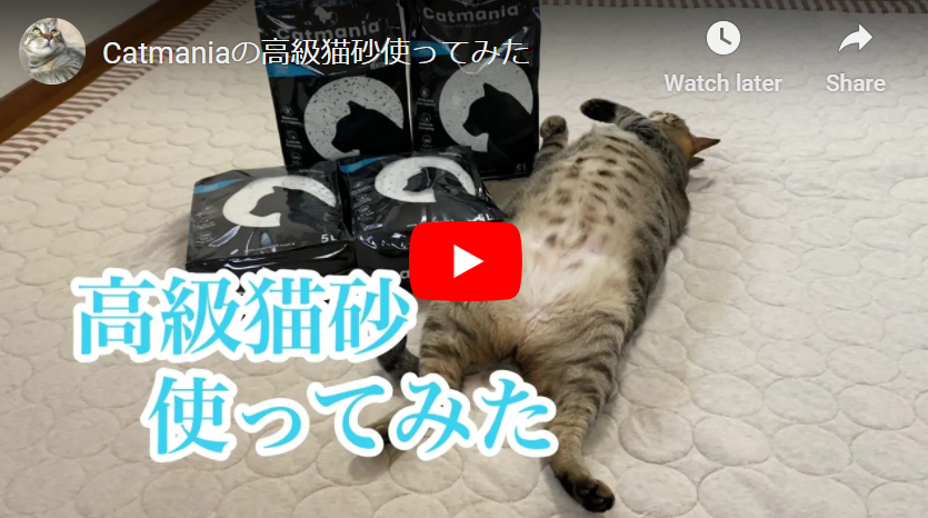 Youtubeでレビュー掲載頂きました