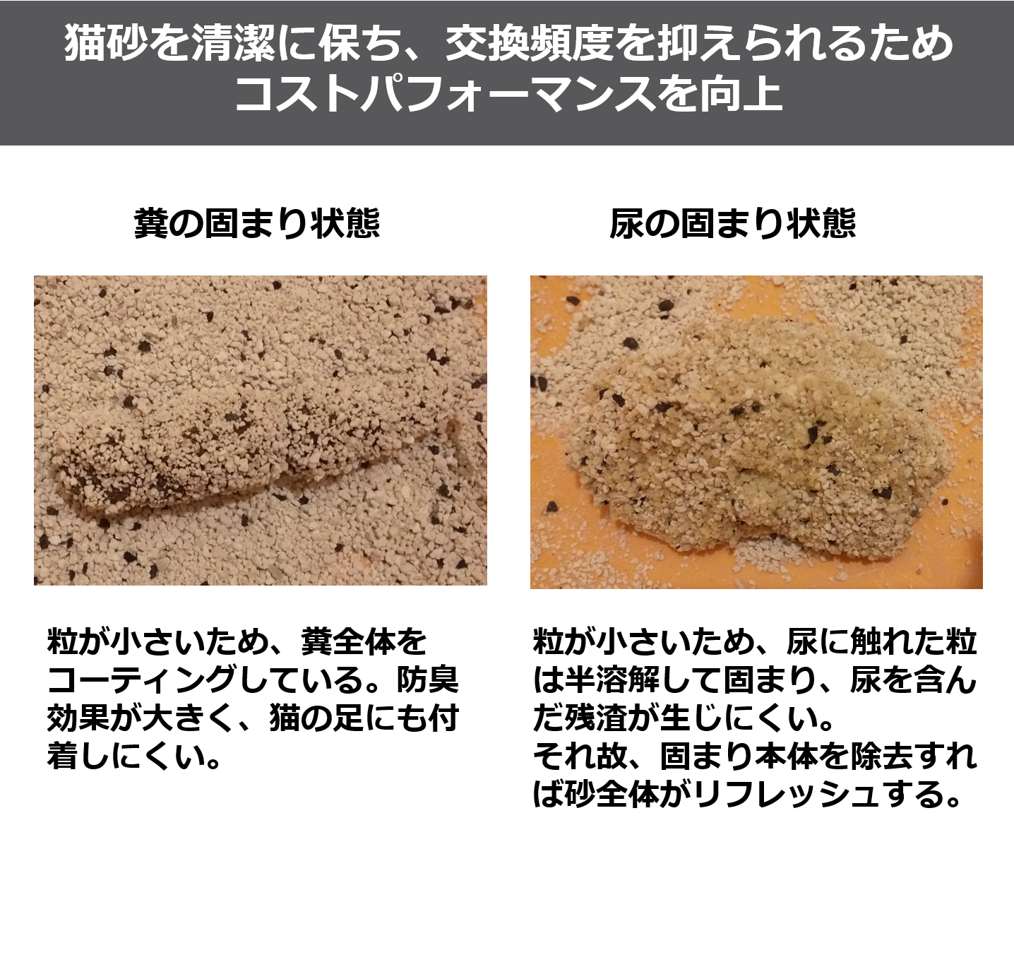 Catmania 鉱物系 ベントナイト 白い猫砂 ターキッシュホワイトの猫砂 ベビーパウダー5L(4.25kg)×1個 お試し用商品